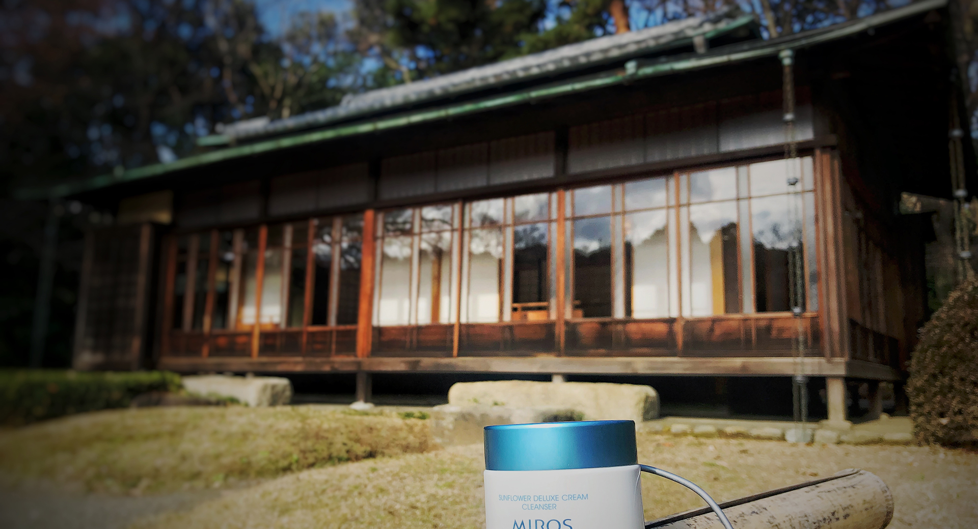 初詣,齊心願景的百年神宮