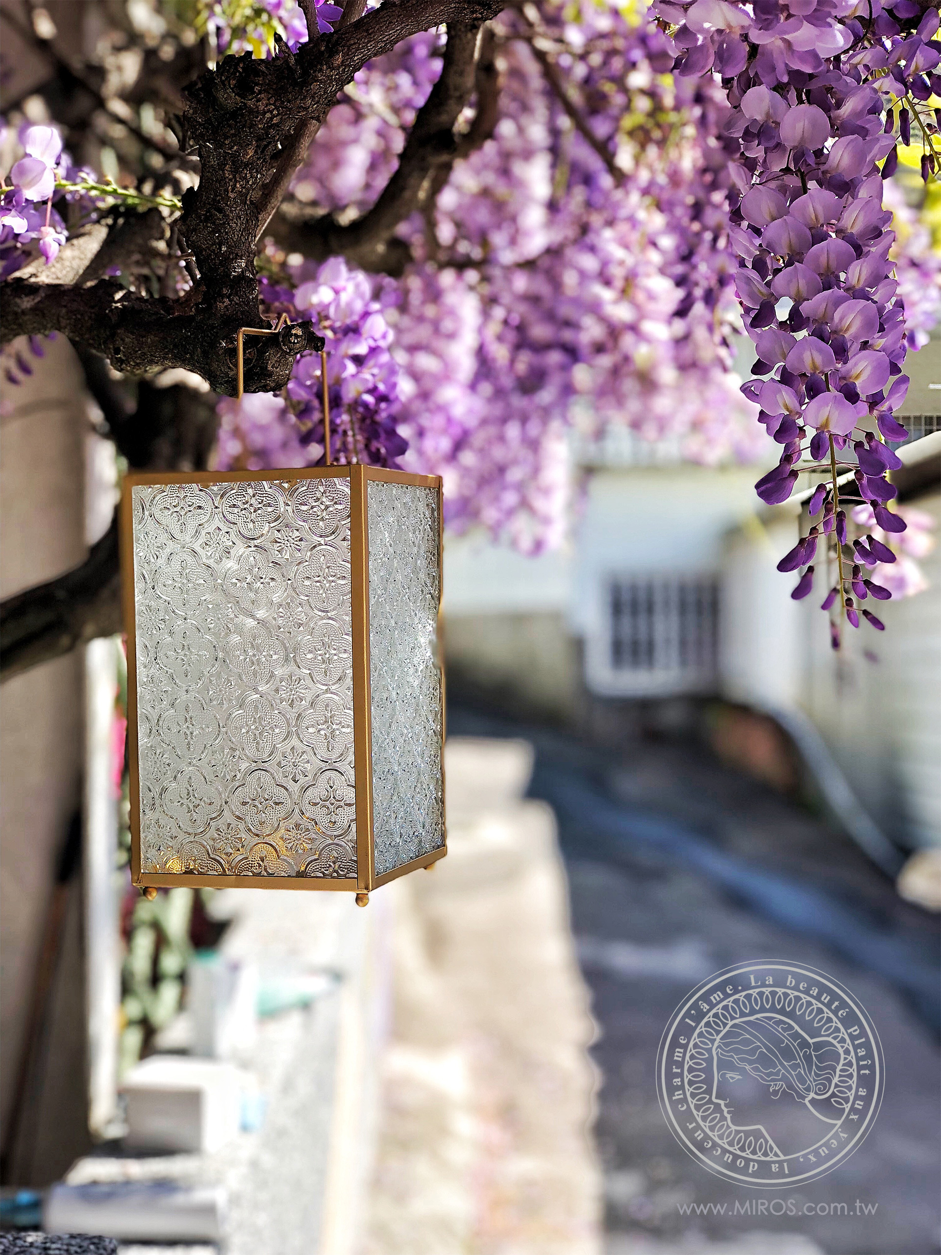 花現,最幸福的時刻