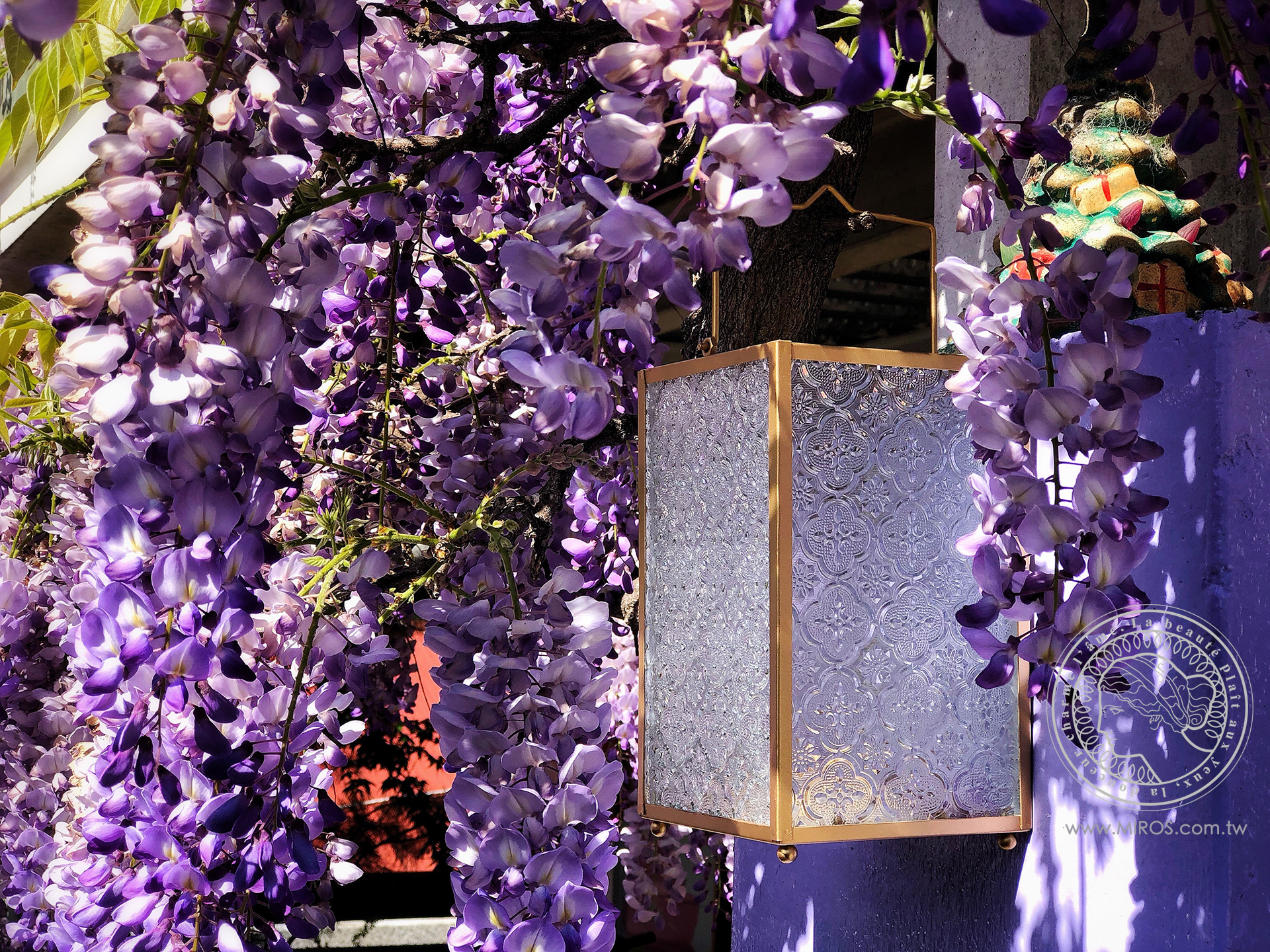 花現,最幸福的時刻