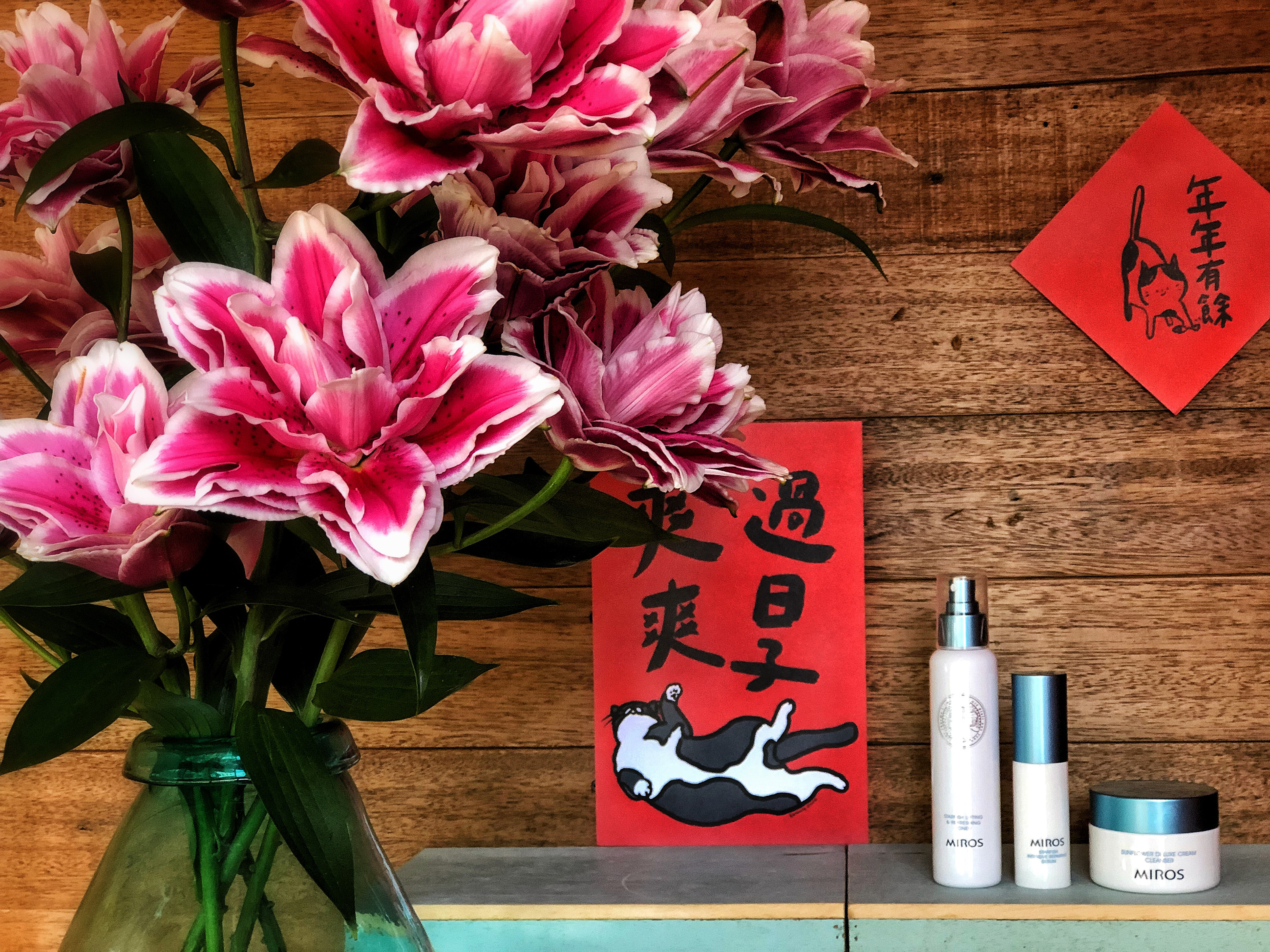 如新,像花一樣用力盛開