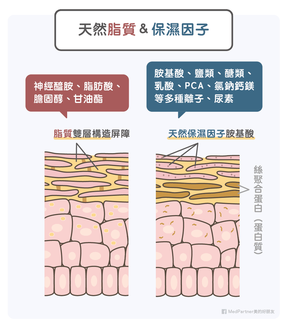 潔顏保養，剛好最好